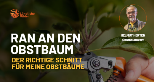 Schermafbeelding 2026-09-14 154929